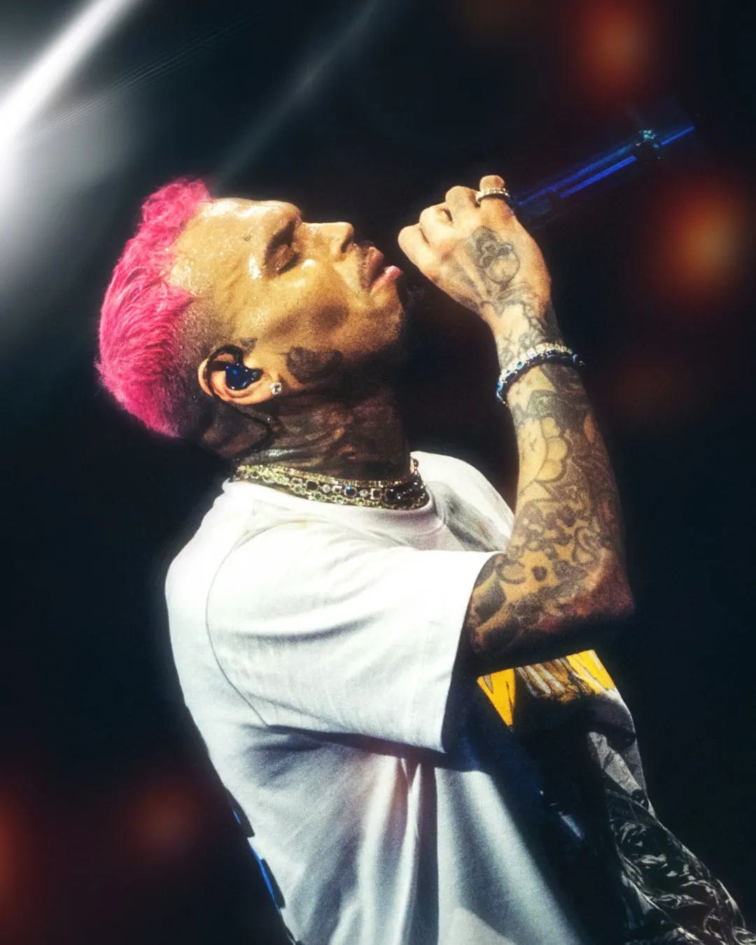 Chris Brown — gallery photograph