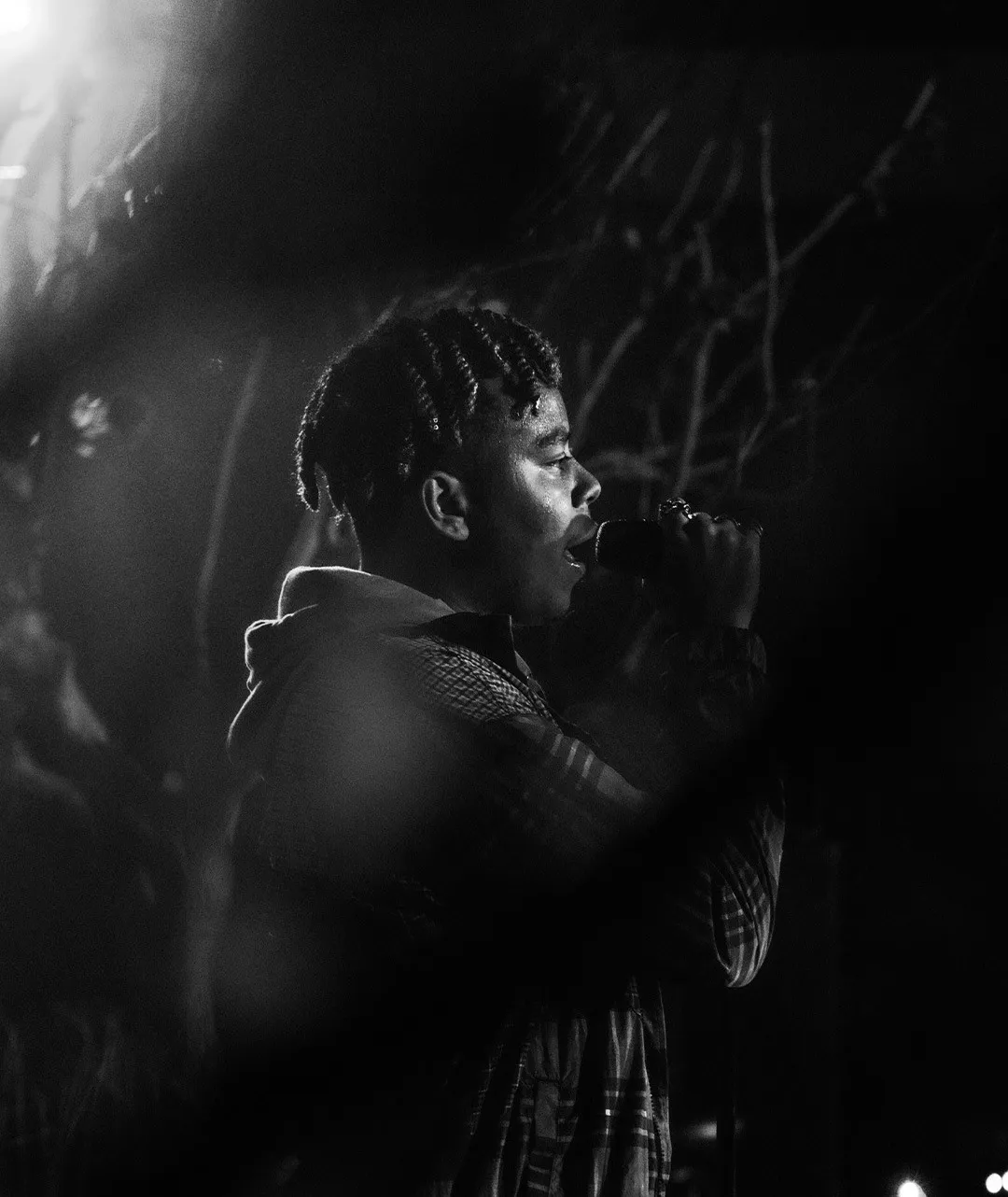 Cordae — gallery photograph