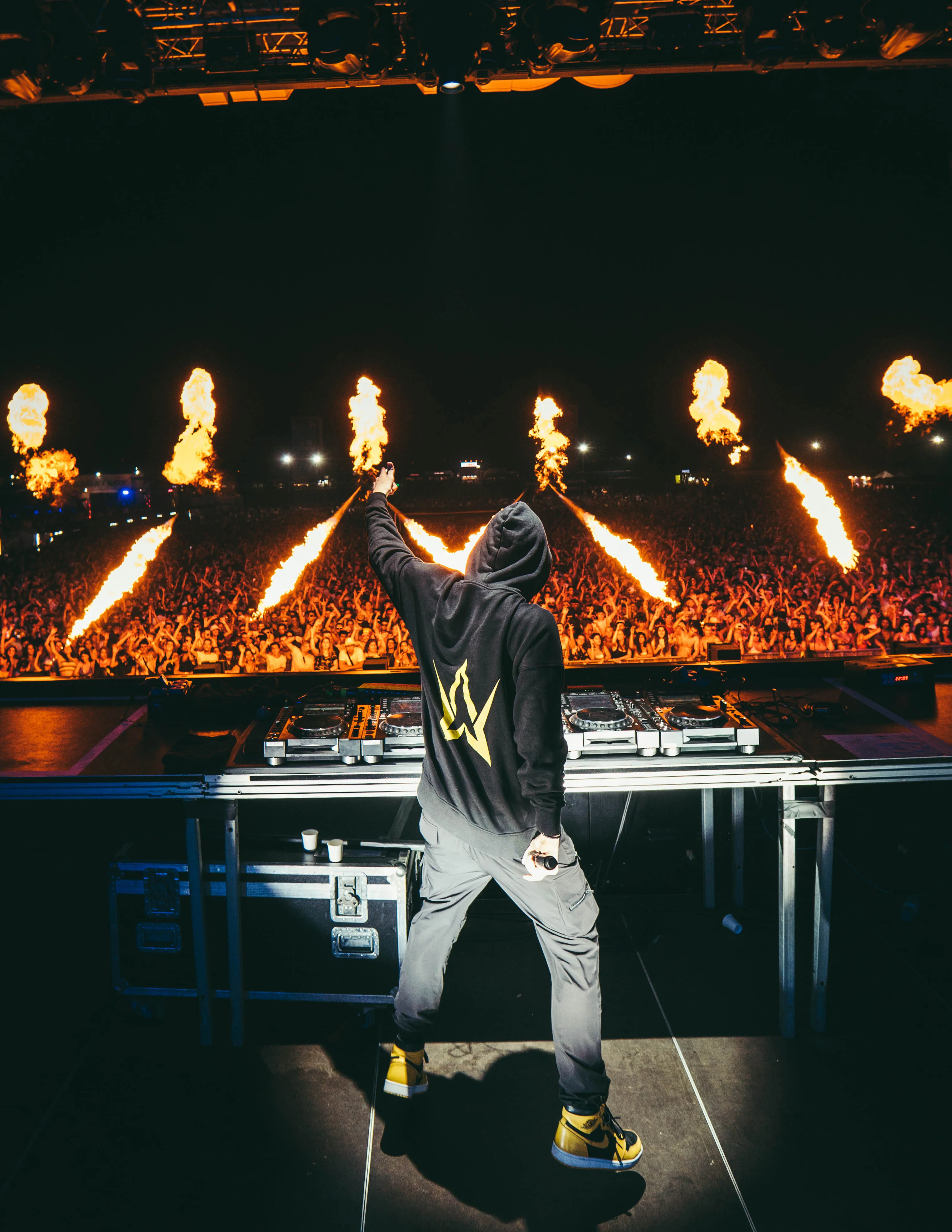 Alan Walker — gallery photograph