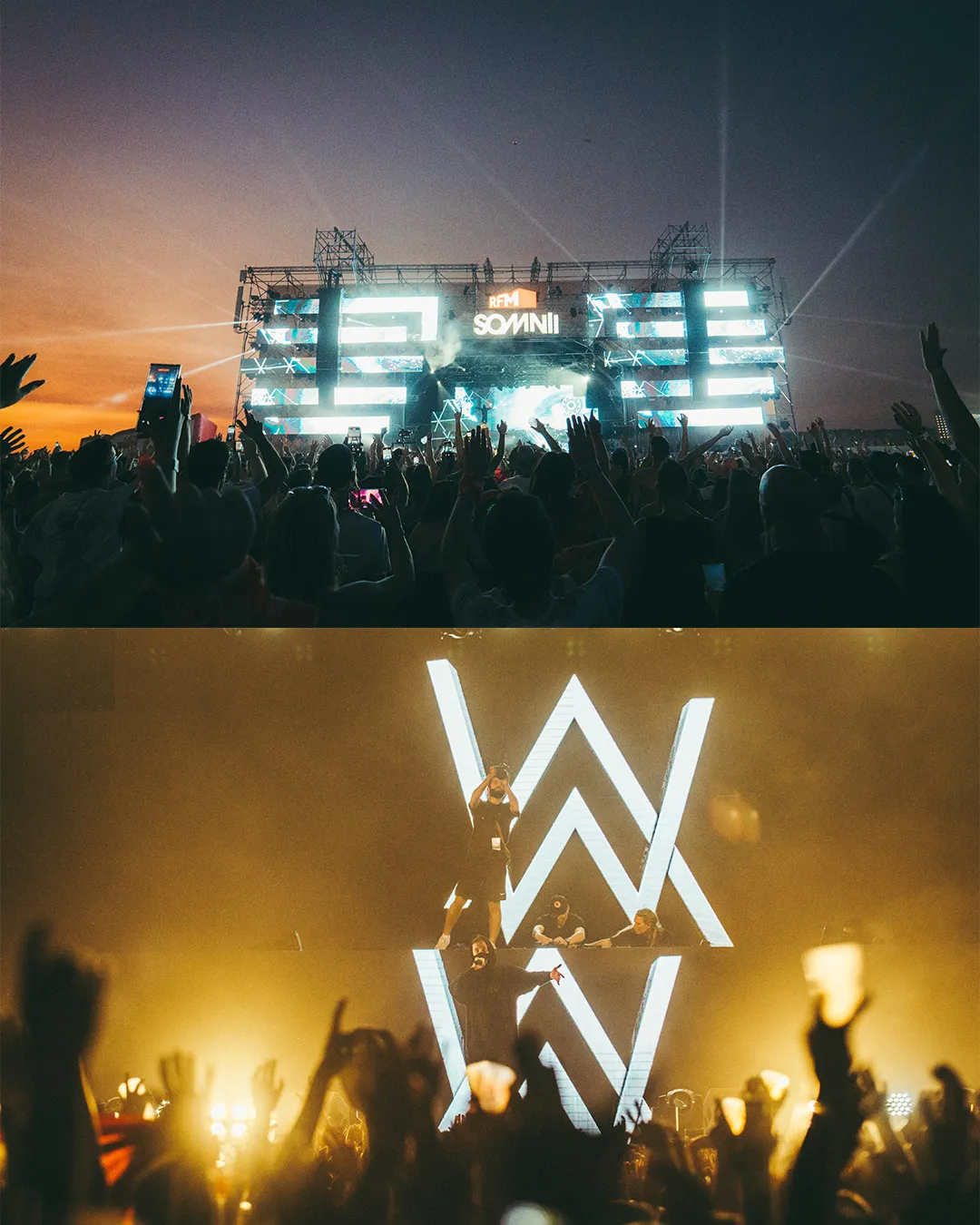 Alan Walker — gallery photograph